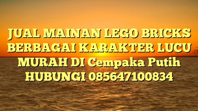 JUAL MAINAN LEGO BRICKS BERBAGAI KARAKTER LUCU MURAH DI Cempaka Putih HUBUNGI 085647100834