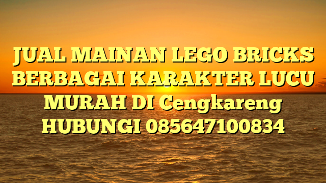 JUAL MAINAN LEGO BRICKS BERBAGAI KARAKTER LUCU MURAH DI Cengkareng HUBUNGI 085647100834