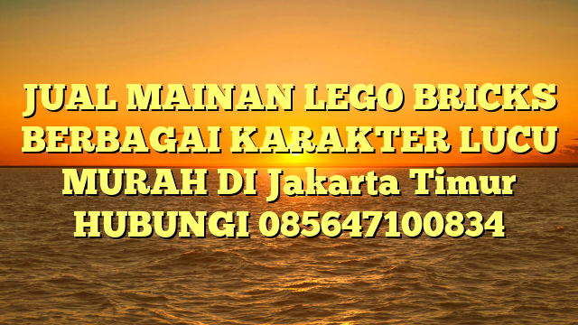 JUAL MAINAN LEGO BRICKS BERBAGAI KARAKTER LUCU MURAH DI Jakarta Timur HUBUNGI 085647100834