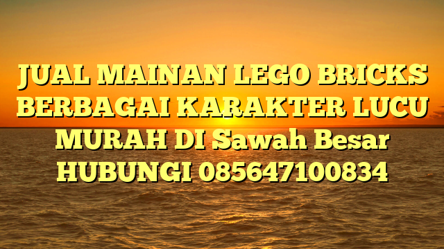 JUAL MAINAN LEGO BRICKS BERBAGAI KARAKTER LUCU MURAH DI Sawah Besar HUBUNGI 085647100834