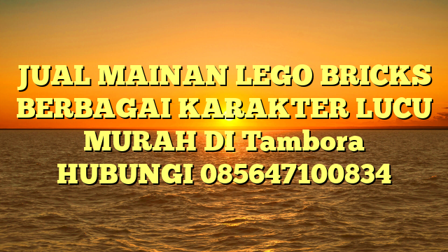 JUAL MAINAN LEGO BRICKS BERBAGAI KARAKTER LUCU MURAH DI Tambora HUBUNGI 085647100834